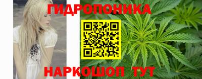 МДПВ Кандалакша
