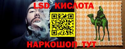 прущие грибы Канаш