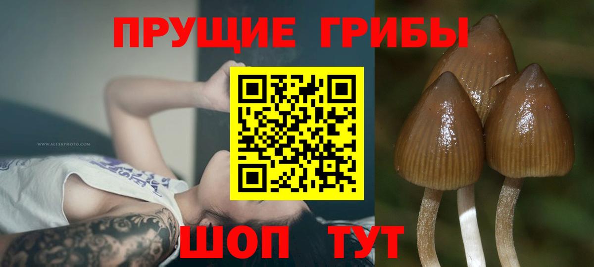 Галлюциногенные грибы мицелий Краснокаменск